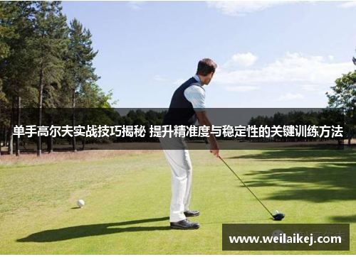 单手高尔夫实战技巧揭秘 提升精准度与稳定性的关键训练方法