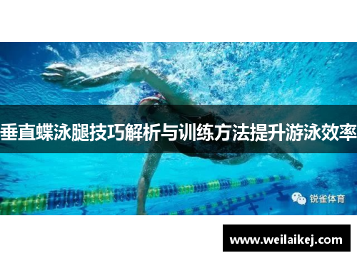 垂直蝶泳腿技巧解析与训练方法提升游泳效率
