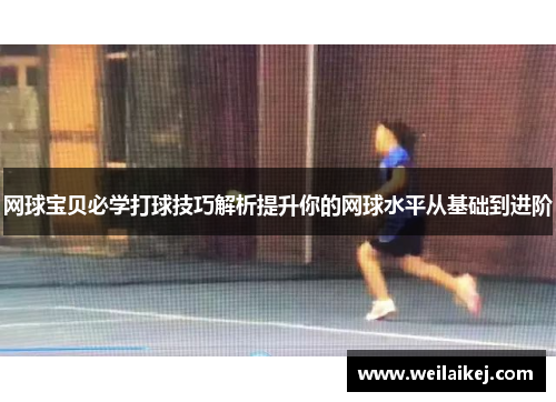 网球宝贝必学打球技巧解析提升你的网球水平从基础到进阶