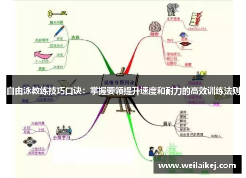 自由泳教练技巧口诀：掌握要领提升速度和耐力的高效训练法则