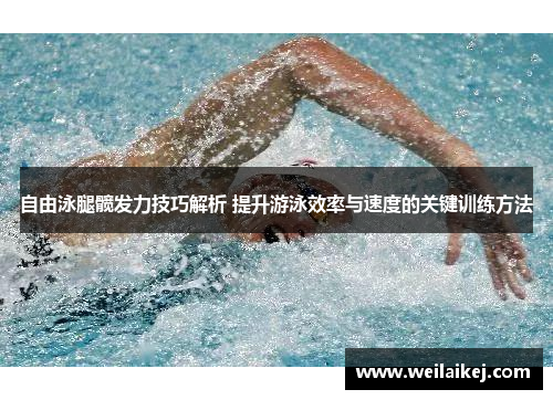 自由泳腿髋发力技巧解析 提升游泳效率与速度的关键训练方法