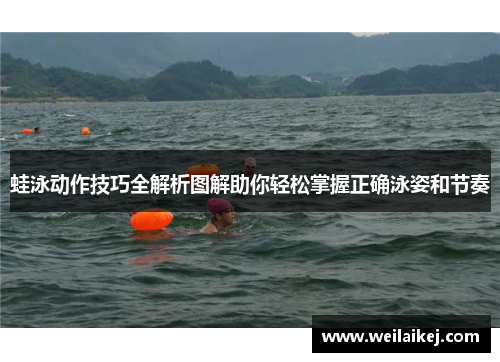 蛙泳动作技巧全解析图解助你轻松掌握正确泳姿和节奏