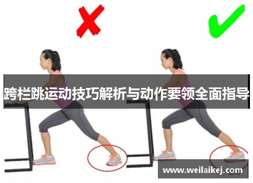 跨栏跳运动技巧解析与动作要领全面指导