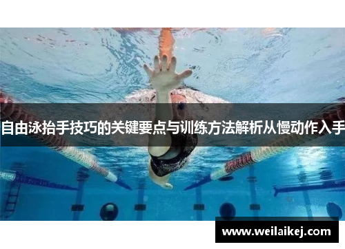 自由泳抬手技巧的关键要点与训练方法解析从慢动作入手