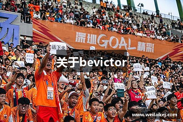 关于bevictor